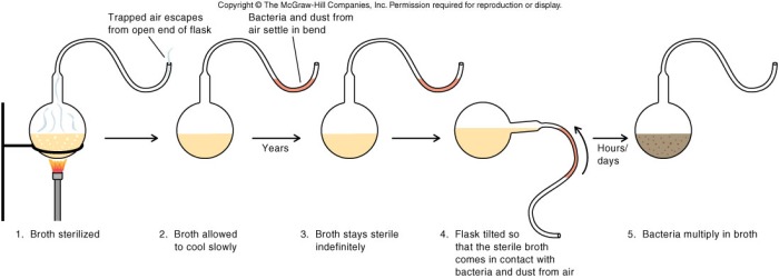 How did Pasteur disprove the theory of biogenesis?